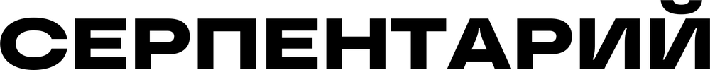 DTF-принт 8955